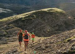 Dynafir Trailhero
