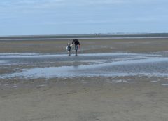 Wattenmeer
