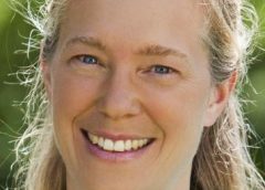 Hilke Patzwall