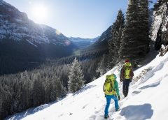 Gregory Alpinisto Alpinrucksack