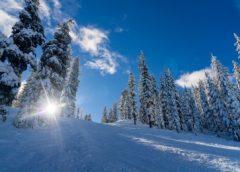 xenofit im Winter