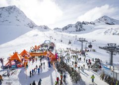 sportscheck testival