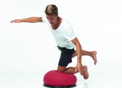 TOGU Trainingsgerät
