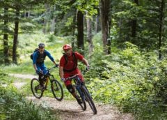 Albstadt Trail