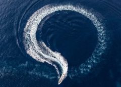 Garmin einigt mit Navico