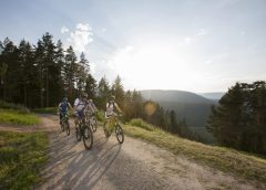 Biken in Baiersbronn und Umgebung