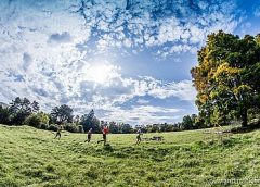 Buff Tour Trails 4 Germany