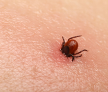 Die Reima SS’27 Kollektion gibt Kindern Freiheit – und schützt vor Insektenstichen